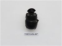 藏品(大黑糞金龜)的圖片